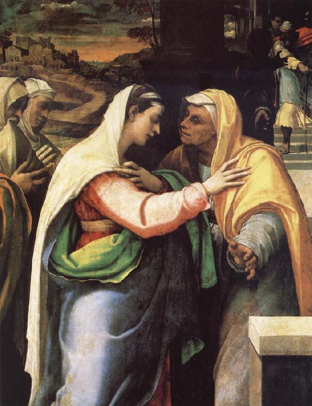 Sebastiano del Piombo The Visitacion oil painting picture
